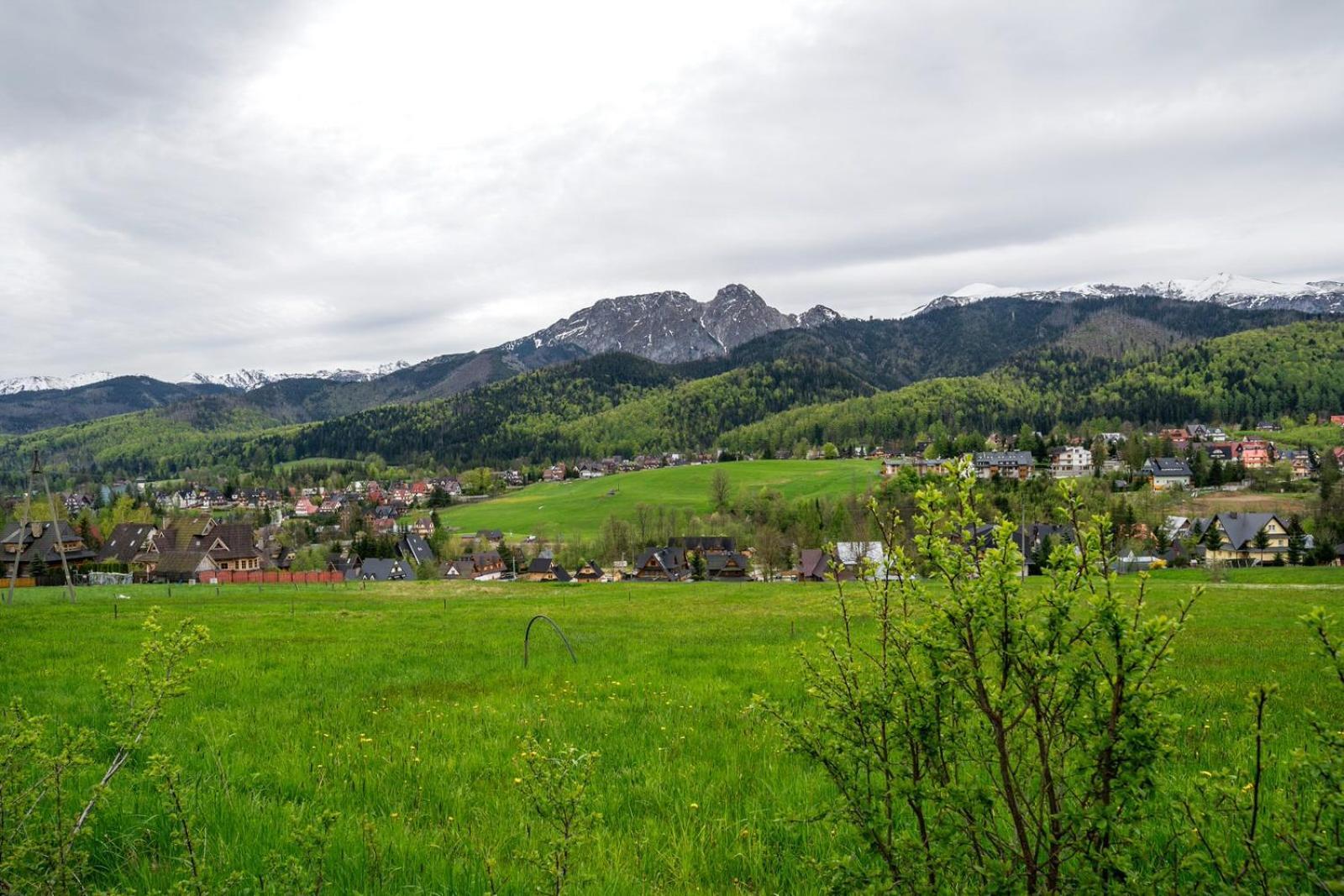 Apartamenty Rezydencja Karpielowka กอสเชียลิสกอ ห้อง รูปภาพ